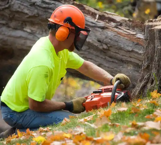 tree services St. George Island